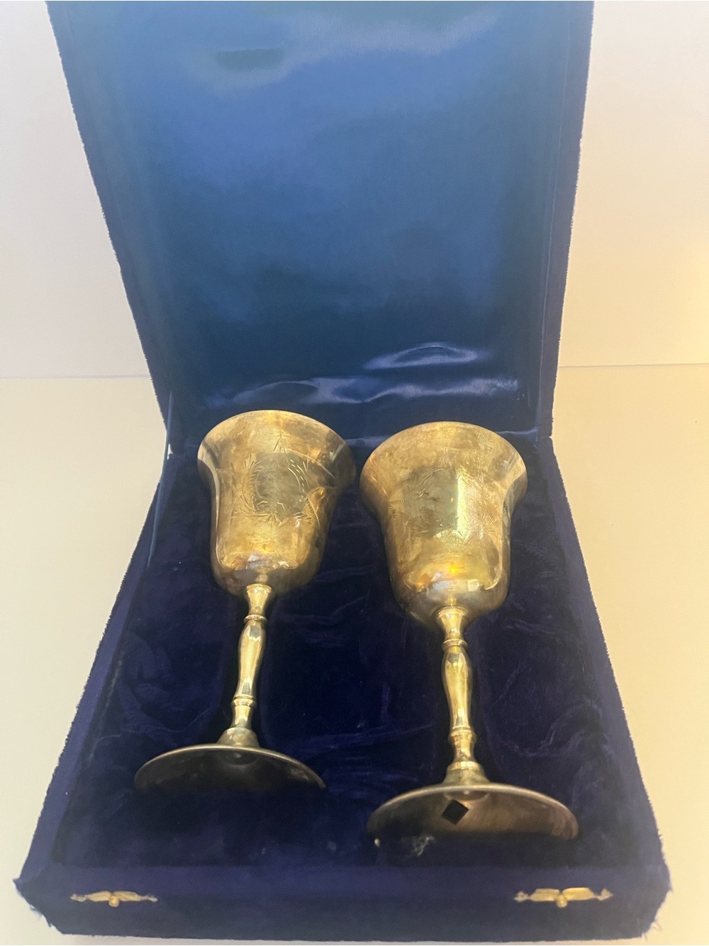 Set of 2 Vintage Silver Plated Etched Wine Glasses in Velvet Case from India